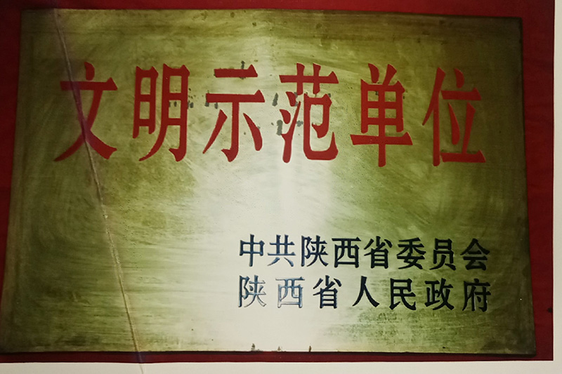 10、省級(jí)-陜西省文明示范單位.jpg